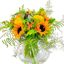 Immediately striking in both colour and composition, this bouquet is a joyful expression of seasonal abundance, drawing inspiration from Creekmouth's riverside scenery and open local spaces. The arrangement is anchored by a cluster of cheerful sunflowers, their bright, sunlit petals and rich chocolate-brown centers radiating positivity. Nestled beside them are plush yellow garden roses, each rosette a finely arranged spiral of soft, layered petals that imbue the bouquet with a sense of timeless refinement. Crimson hypericum berries peep out from within the greenery, their glossy skin and clustered form reminiscent of foraged finds in the parks near the Thames. The design is generously filled with cascading feathery ferns, airy goldenrod sporting petite yellow flowers, and slender bright green spikes, all harmonized by the addition of subtly aromatic, blue-green eucalyptus. The contemporary, clear glass vase-rounded like a droplet of water-provides a clean and modern anchor, revealing the stems' natural tangle within. Bathed in gentle daylight, the bouquet's swirling colours and intricate textures come to life, offering a feast for both eyes and senses. Crafted by the skilled hands of Creekmouth Flowers, this arrangement perfectly complements family celebrations, milestone events, or daily moments when a touch of joy is needed. Its freshness and radiant spirit make it a true reflection of Creekmouth's friendly, diverse charm.